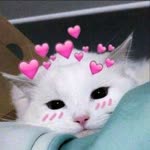 Latife