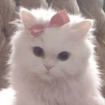 Gizem