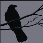 Sahra