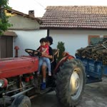 Yasemin