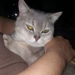 Özcan