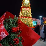 Meral