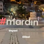 Veysel