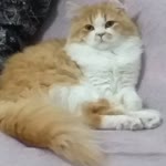 Esra