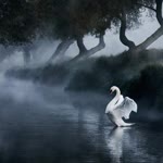 Zeren