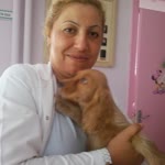 Serpil