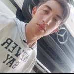 Şahin