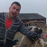 Savaş