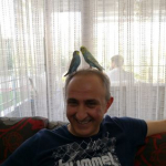 H. Yavuz