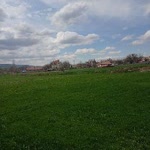 Şule