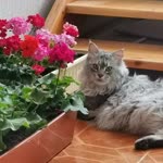 Profil fotoğrafı