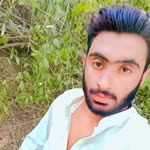 Salam
