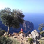 Deniz
