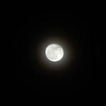 Erdinç