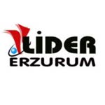Lider