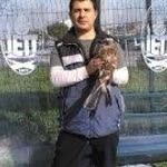 Sinan