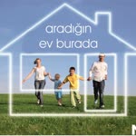 Mavi