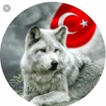 Bozkurt