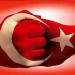 Doğan