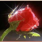 Aysun