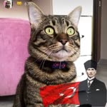 Yasemin