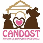 Cano
