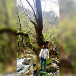 Samet
