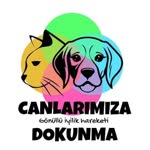 Songül