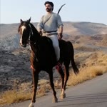 Mustafa