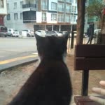 Tolga