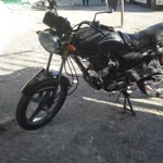 Bayram