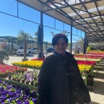 Yasemin