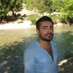 Şahin