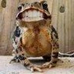 Onur