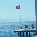 Cemil