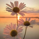 Hatice