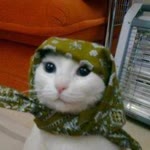 Ahmet