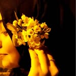 Ayşenur