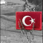 Yunus