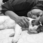 Fatma