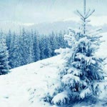 Ceyhun
