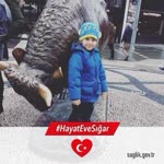 Şehnaz