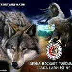 Harun