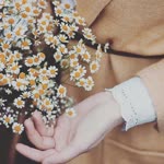 Nour
