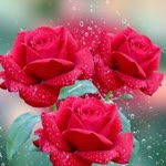 Serhat