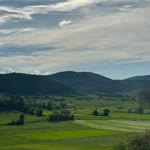 Erdal