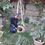 Ayşe