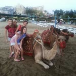 Arzu