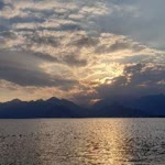 Halide