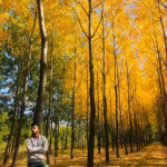 Yusuf